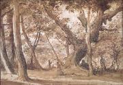 Claude Lorrain Wooded View (mk17) oil painting reproduction